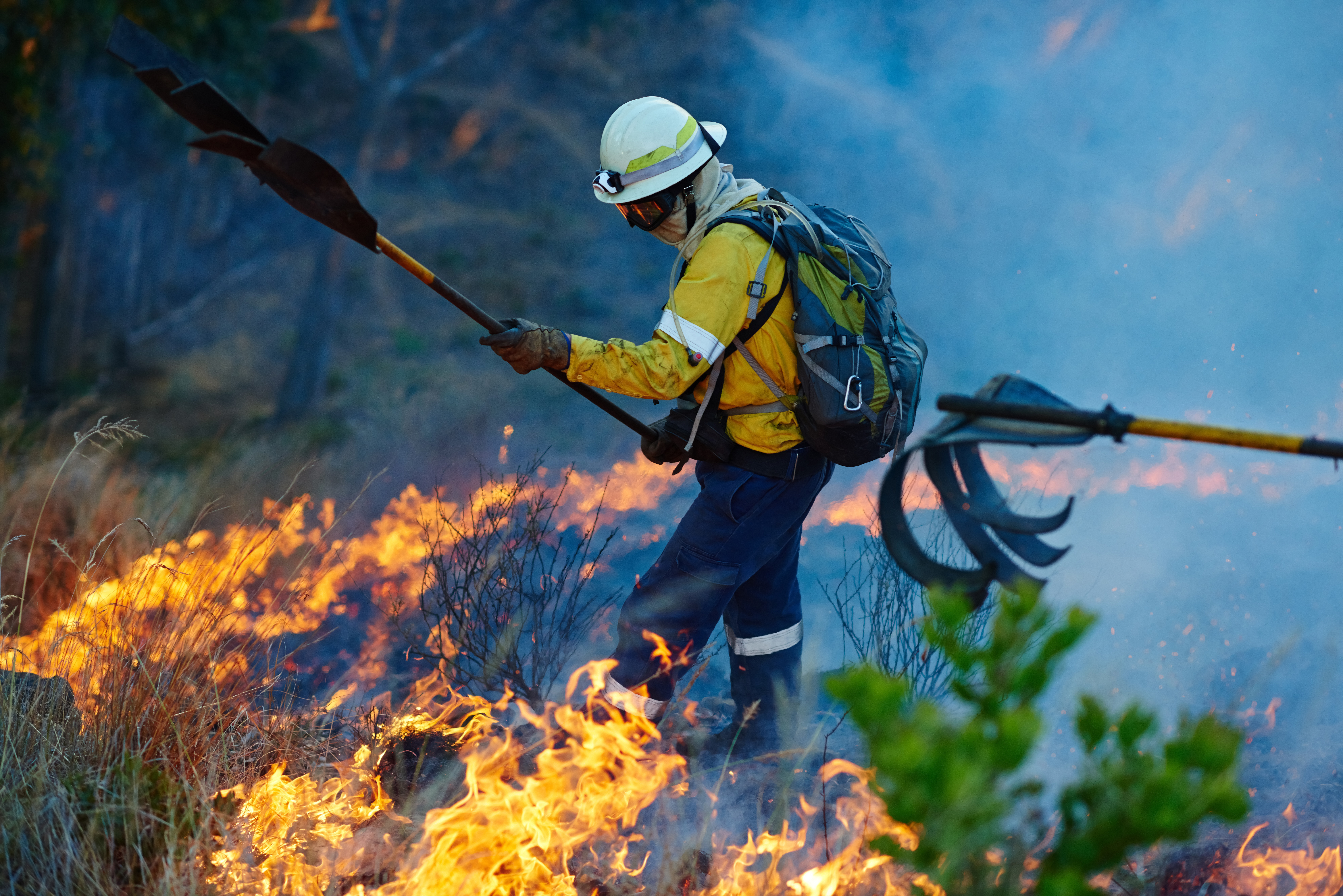 Rising From the Ashes: LA Fire Victim Support