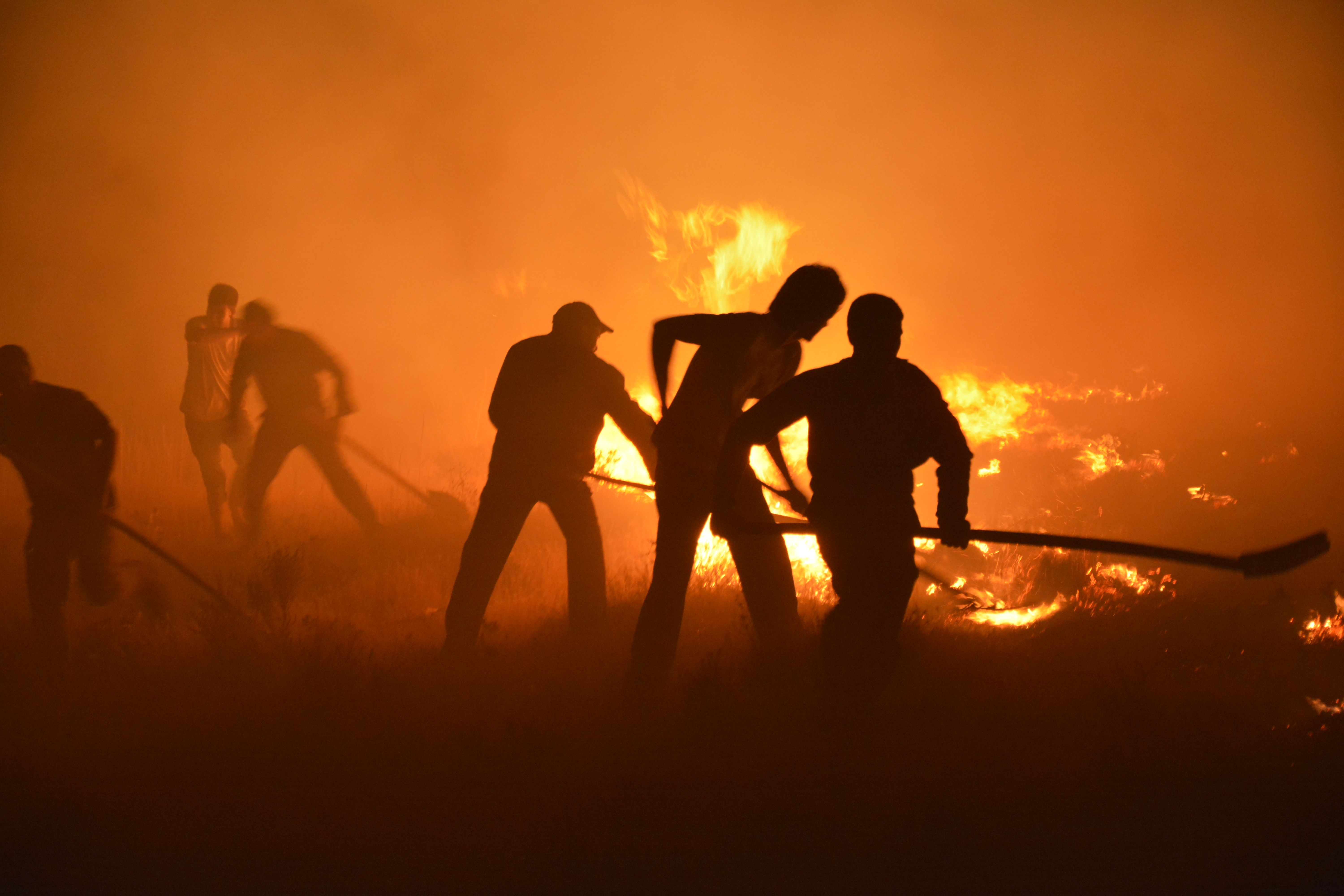 Rising From the Ashes: LA Fire Victim Support