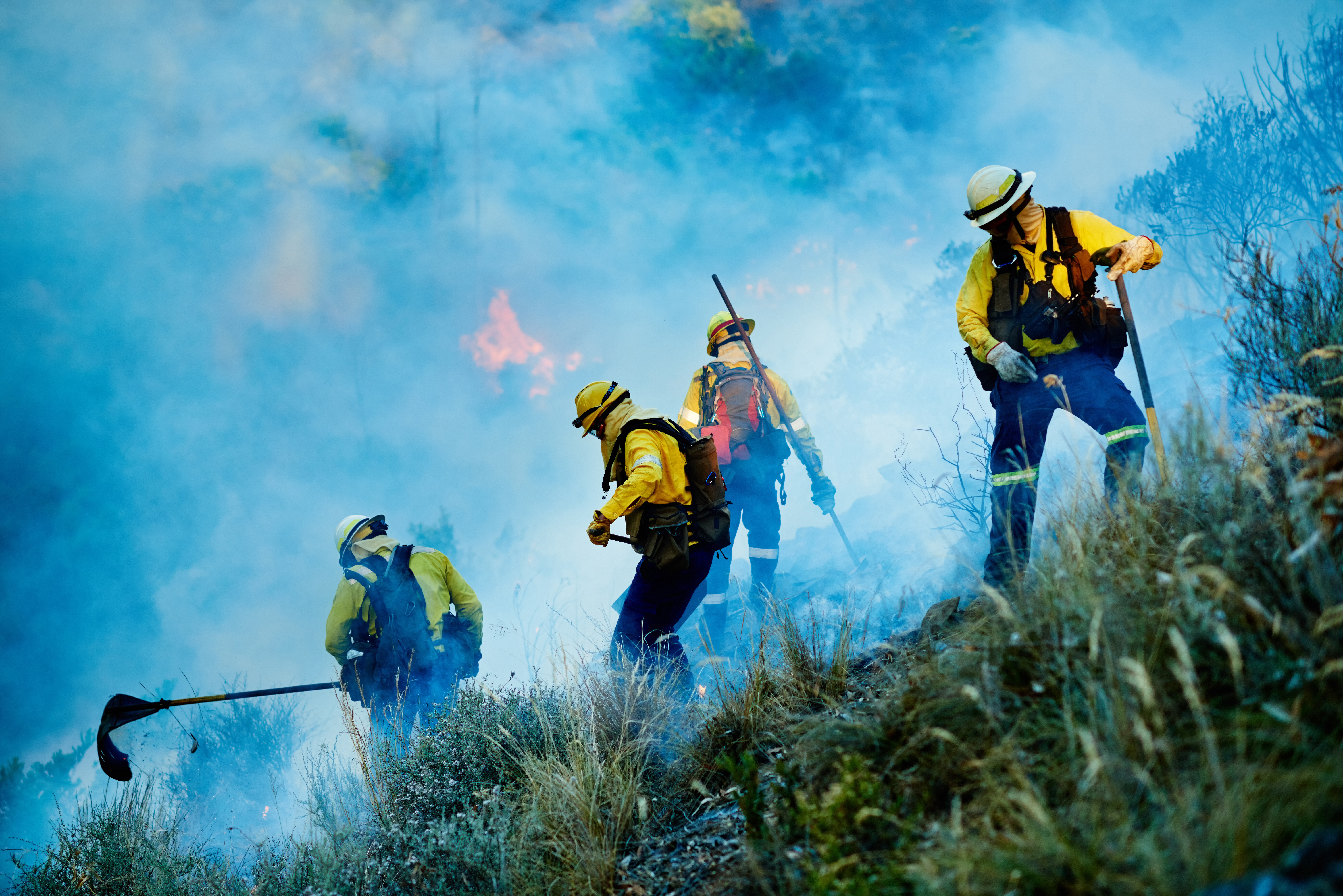 Rising From the Ashes: LA Fire Victim Support